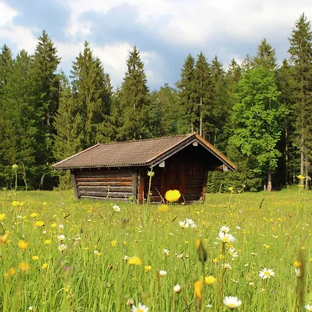 Ferienwohnung Antikstuebchen 아파트